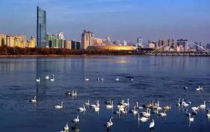 三門峽又一網(wǎng)紅景點，確定不來pick一下？